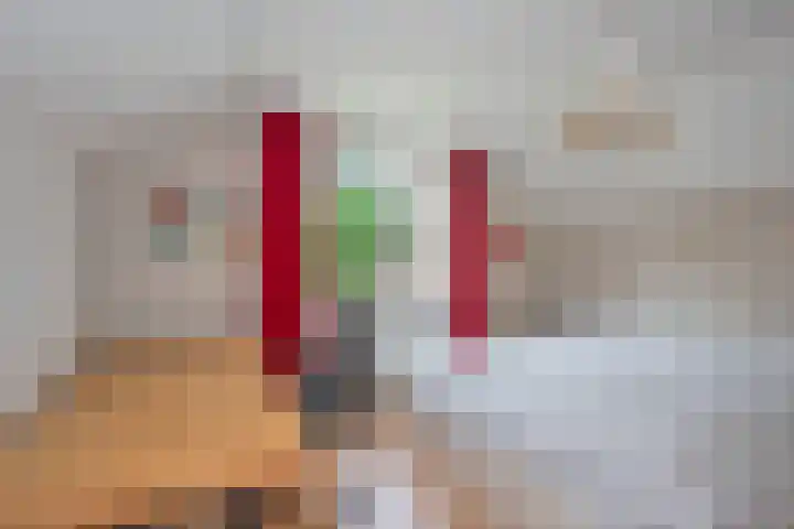 Theo van Loonstraat 25 Hengelo thumbnail 25