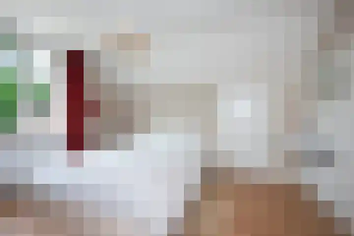 Theo van Loonstraat 25 Hengelo thumbnail 26