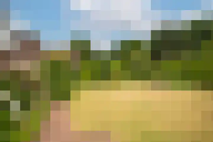 Theo van Loonstraat 25 Hengelo thumbnail 34