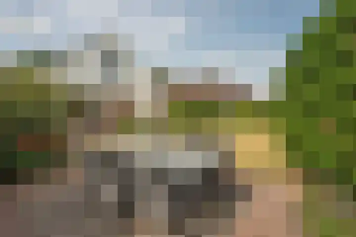Theo van Loonstraat 25 Hengelo thumbnail 37