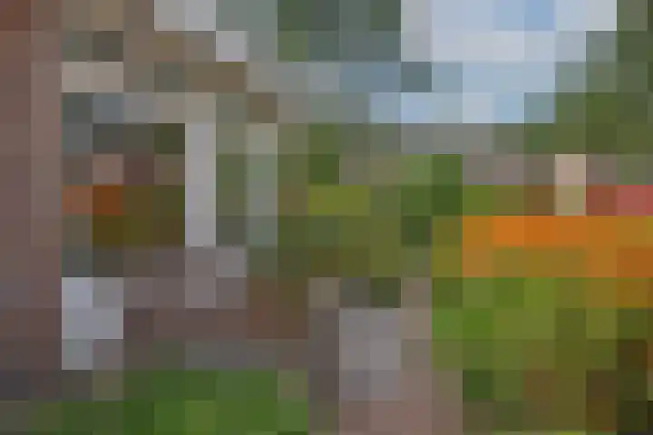 Theo van Loonstraat 25 Hengelo thumbnail 39