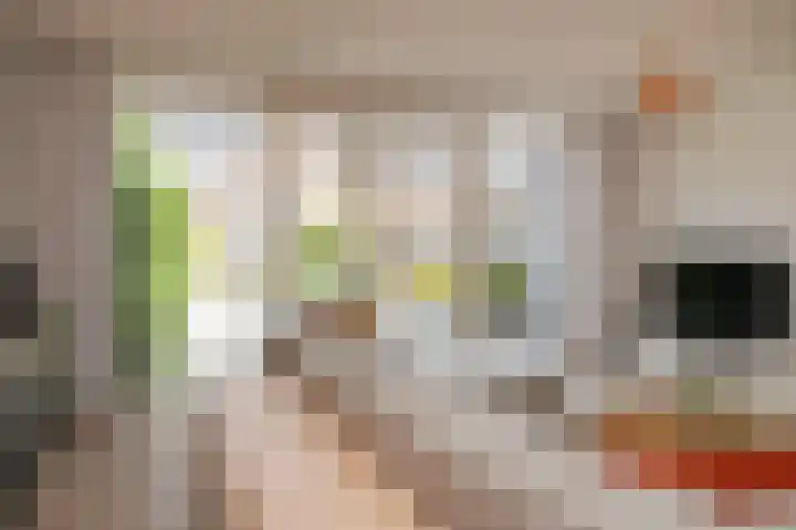 Theo van Rijenlaan 13 Zaltbommel thumbnail 17