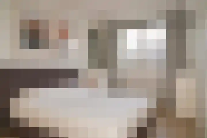 Theo van Rijenlaan 13 Zaltbommel thumbnail 20