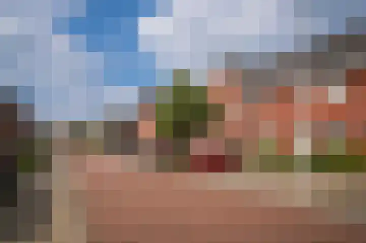 Theo van Rijenlaan 13 Zaltbommel thumbnail 37