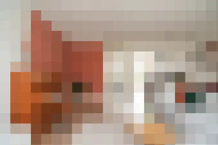 Theo van Rijenlaan 13 Zaltbommel thumbnail 6