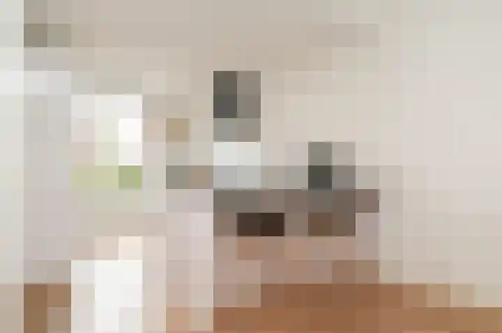 Theo van Rijenlaan 13 Zaltbommel thumbnail 8