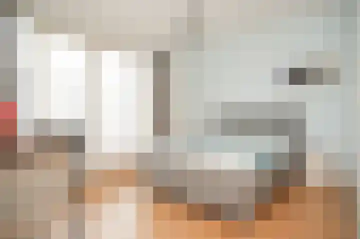 Theo van Rijenlaan 14 Zaltbommel thumbnail 25