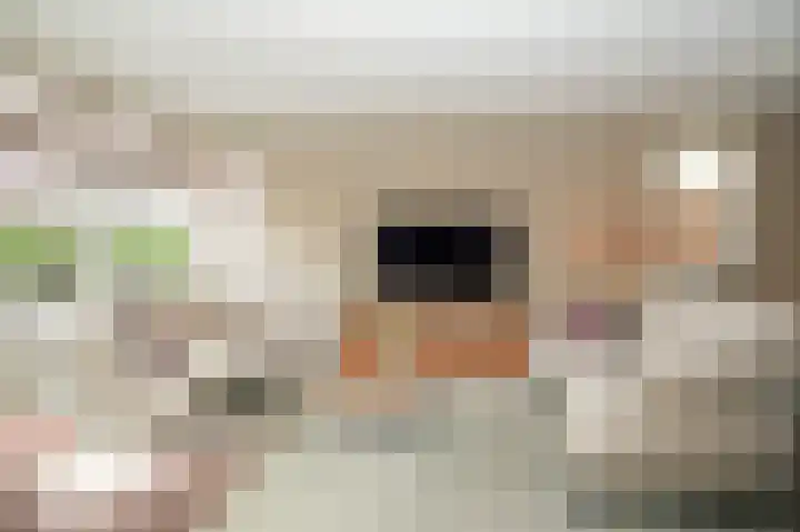 Theo van Rijenlaan 14 Zaltbommel thumbnail 4