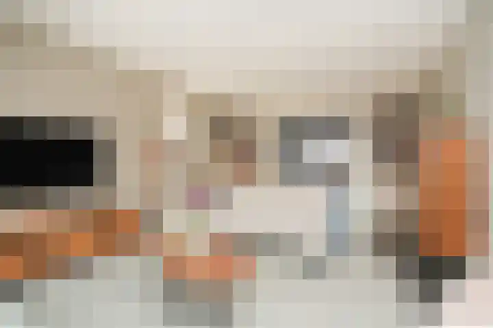 Theo van Rijenlaan 14 Zaltbommel thumbnail 7