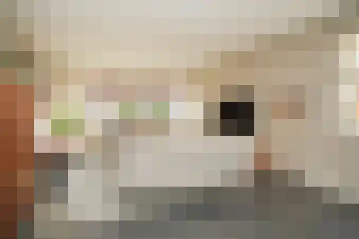 Theo van Rijenlaan 14 Zaltbommel thumbnail 8