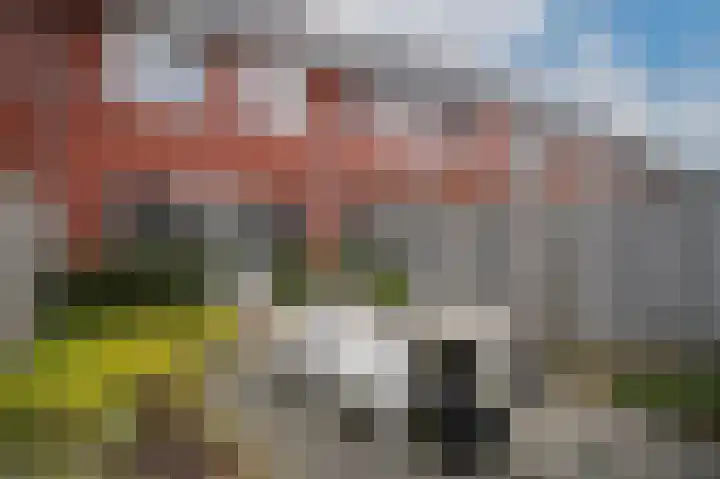 Theo van Rijenlaan 21 Zaltbommel thumbnail 27