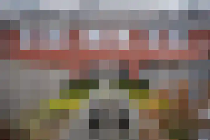Theo van Rijenlaan 21 Zaltbommel thumbnail 30