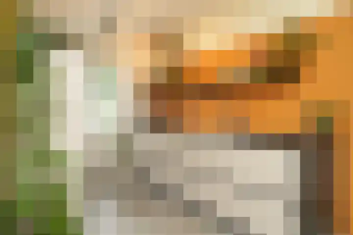 Theo van Rijenlaan 31 Zaltbommel thumbnail 13