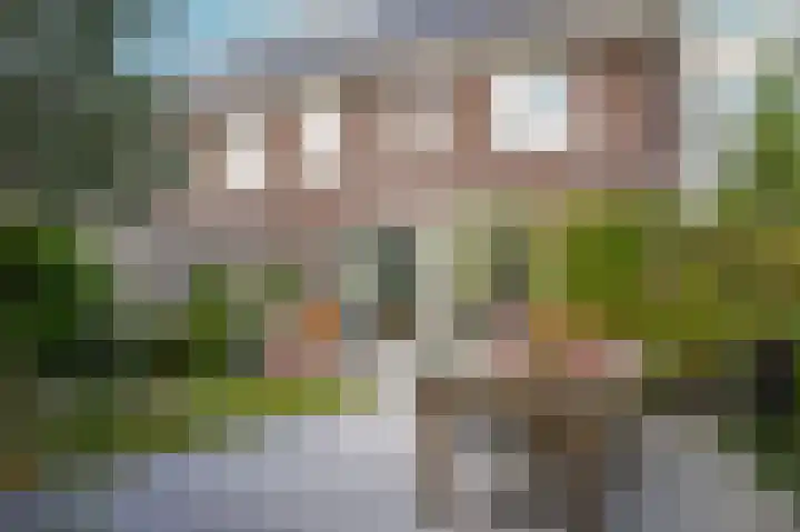 Theo van Rijenlaan 31 Zaltbommel thumbnail 39