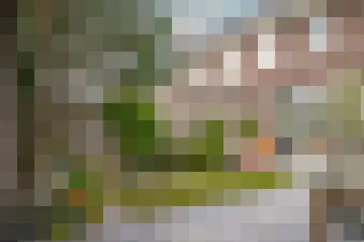 Theo van Rijenlaan 31 Zaltbommel thumbnail 42