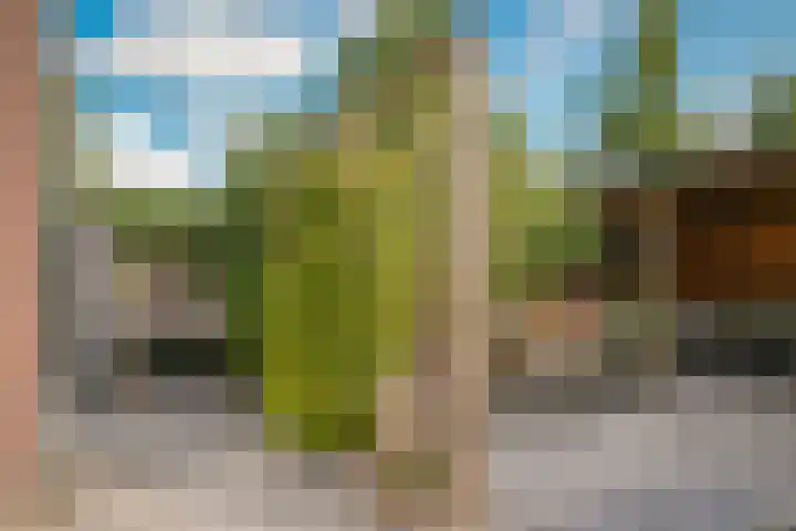 Theo van Rijenlaan 31 Zaltbommel thumbnail 46