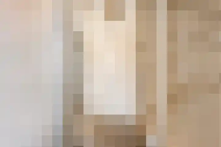 Theo van Rijenlaan 7 Zaltbommel thumbnail 13