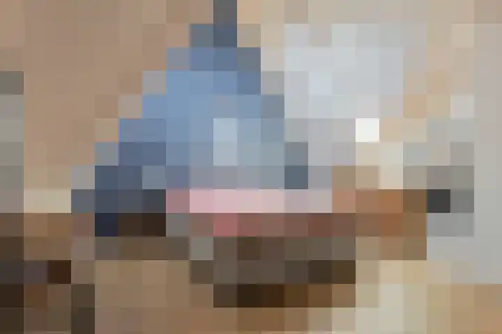 Theo van Rijenlaan 7 Zaltbommel thumbnail 23