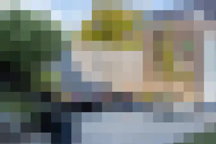 Theo van Rijenlaan 7 Zaltbommel thumbnail 27