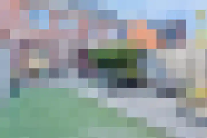 Theo van Rijenlaan 7 Zaltbommel thumbnail 29