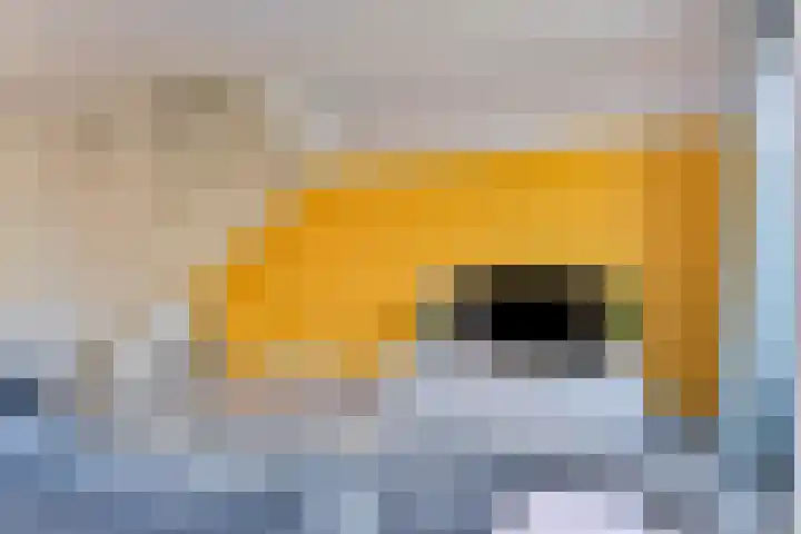 Theo van Rijenlaan 7 Zaltbommel thumbnail 7