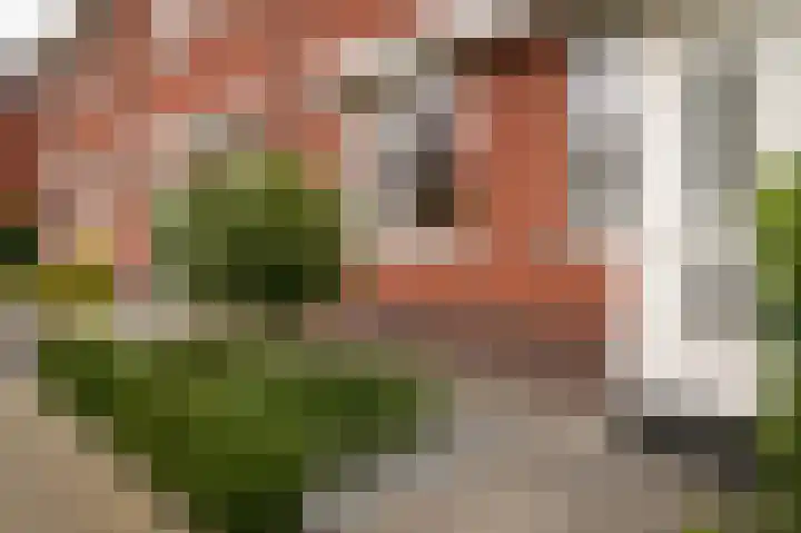 Theo van Rijenlaan 9 Zaltbommel thumbnail 34