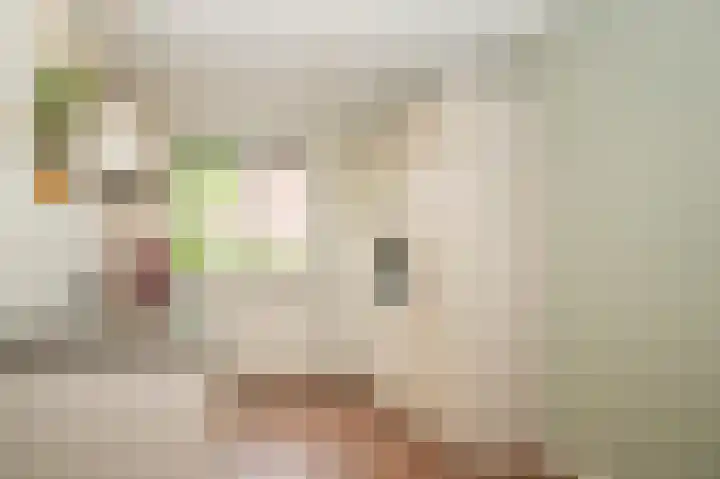 Theo van Rijenlaan 9 Zaltbommel thumbnail 8