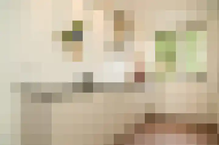 Theo van Rijenlaan 9 Zaltbommel thumbnail 9