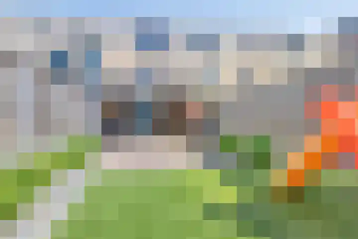 Theo Verhaarveld 14 Rotterdam thumbnail 31
