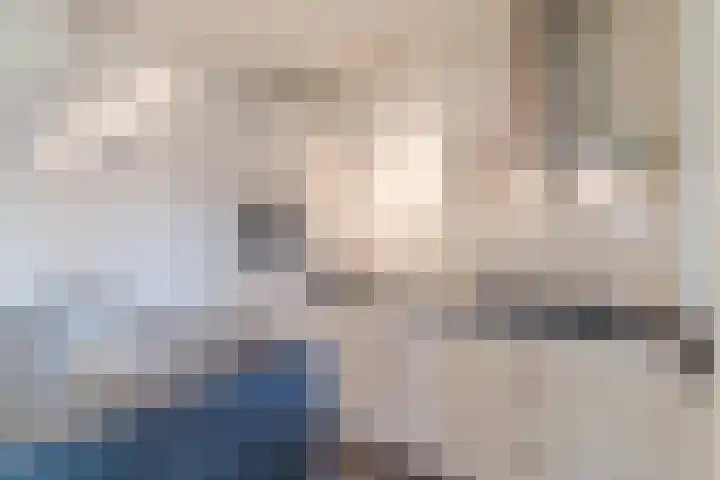 Theo Vogelspad 40 Hilvarenbeek thumbnail 11