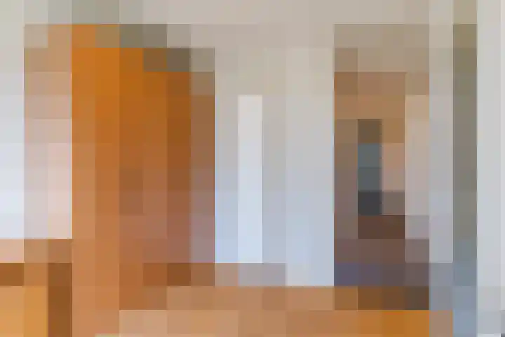 Theo Vogelspad 40 Hilvarenbeek thumbnail 17
