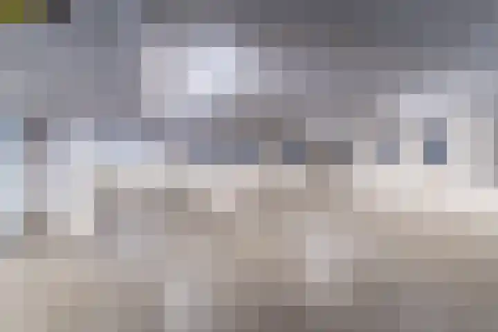 Theo Vogelspad 40 Hilvarenbeek thumbnail 28