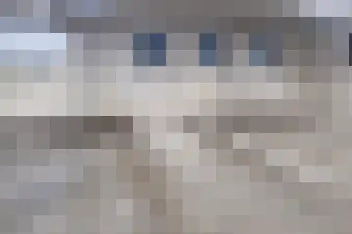 Theo Vogelspad 40 Hilvarenbeek thumbnail 29