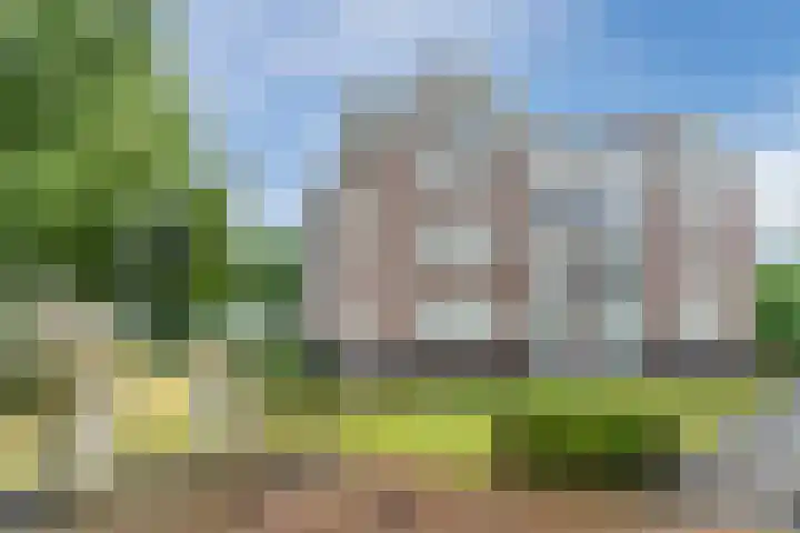 Theo Vogelspad 40 Hilvarenbeek thumbnail 37