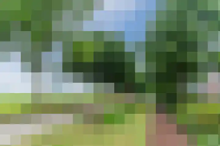 Theo Vogelspad 40 Hilvarenbeek thumbnail 39