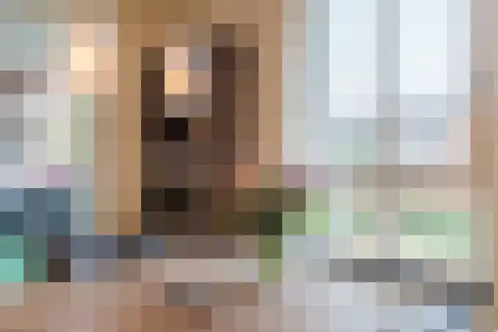 Theo Vogelspad 40 Hilvarenbeek thumbnail 9