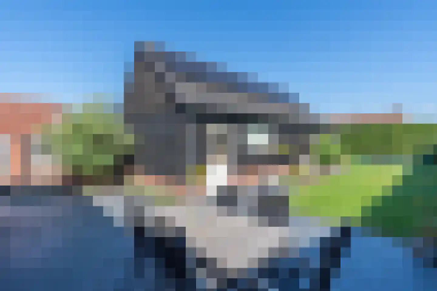 Theobaldusweg 49 Overloon thumbnail 12