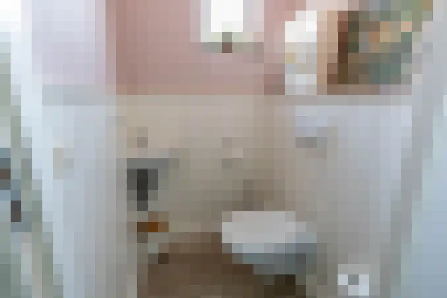 Theobaldusweg 49 Overloon thumbnail 24