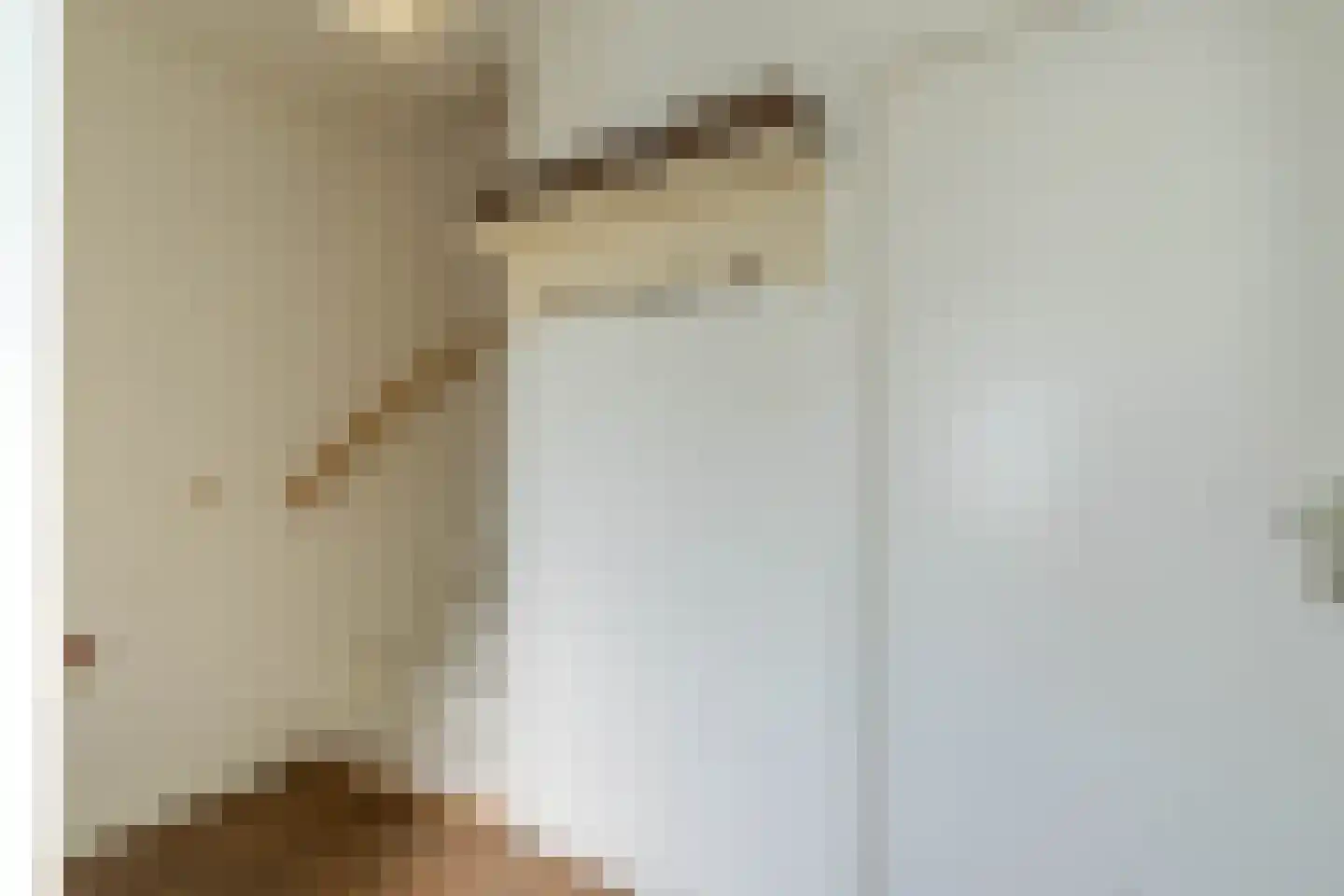 Theobaldusweg 49 Overloon thumbnail 40