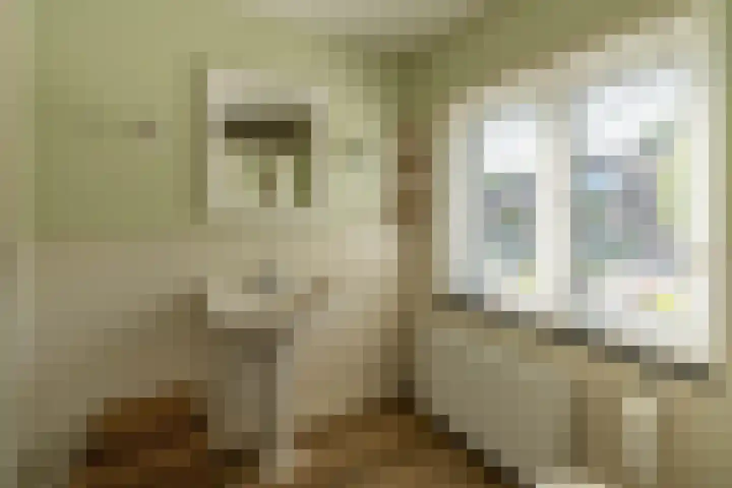 Theobaldusweg 49 Overloon thumbnail 48