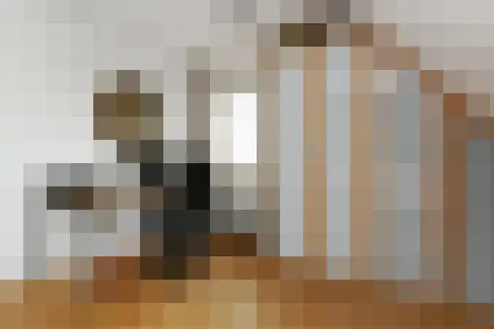 Theod. Pubbenstraat 2 Helden thumbnail 19
