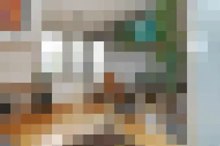 Theod. Pubbenstraat 2 Helden thumbnail 21