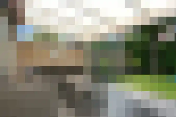 Theod. Pubbenstraat 2 Helden thumbnail 30