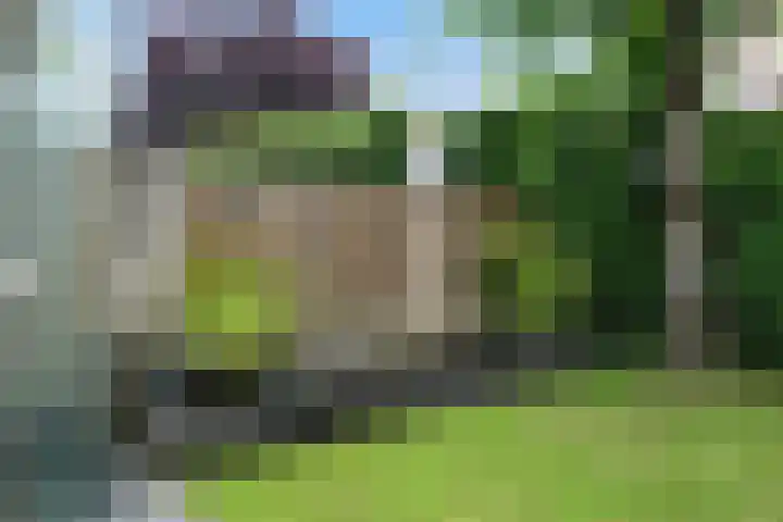 Theod. Pubbenstraat 2 Helden thumbnail 35