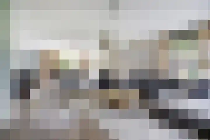 Theod. Pubbenstraat 9 Helden thumbnail 10