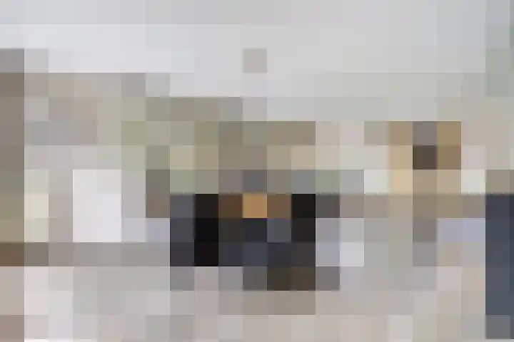 Theod. Pubbenstraat 9 Helden thumbnail 12