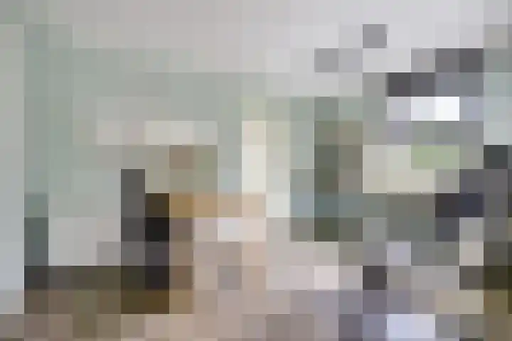 Theod. Pubbenstraat 9 Helden thumbnail 14