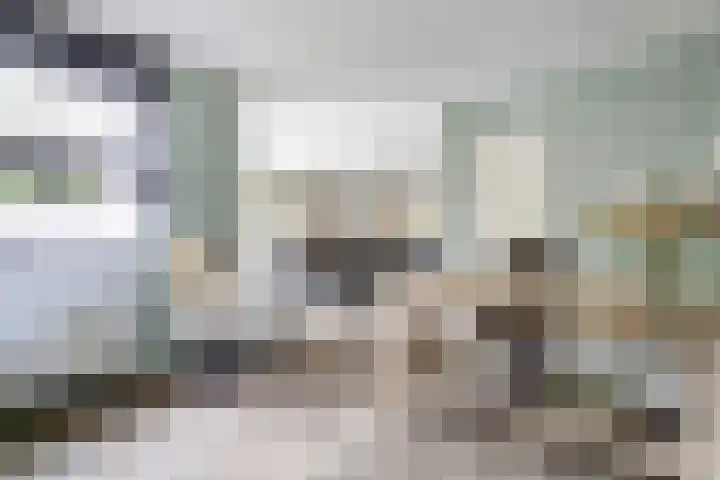 Theod. Pubbenstraat 9 Helden thumbnail 15