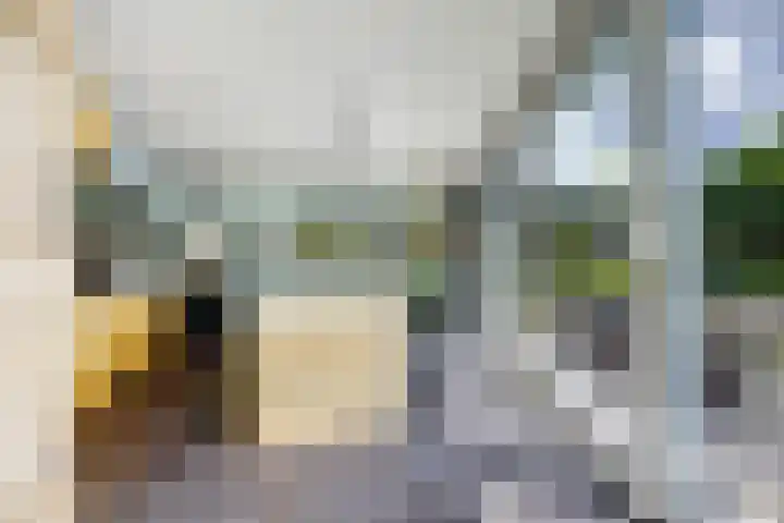 Theod. Pubbenstraat 9 Helden thumbnail 16