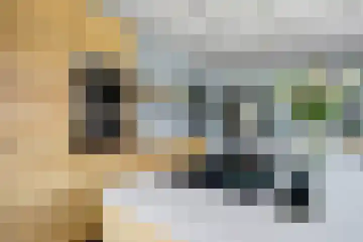 Theod. Pubbenstraat 9 Helden thumbnail 17